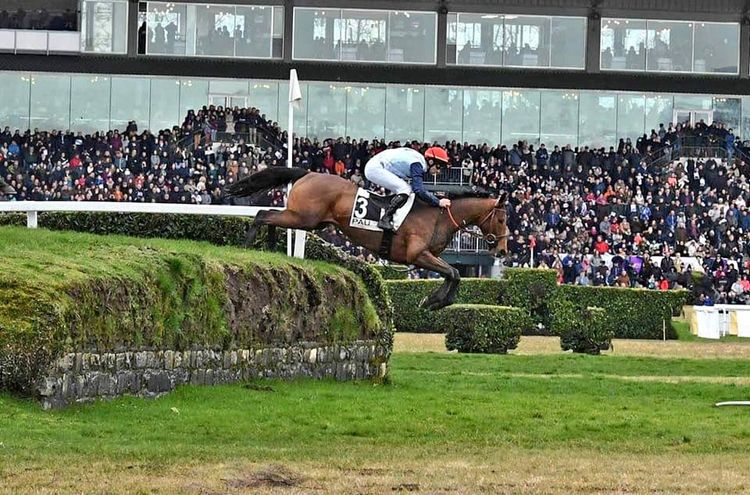 Le Grand Prix Biraben Foie gras est une épreuve de Steeple Chase qui rassemble les meilleurs chevaux de la discipline  à l'Hippodrome de Pau.