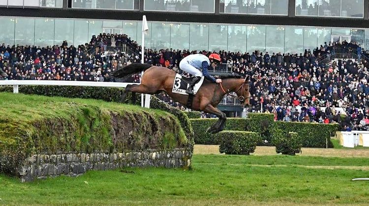 IMPRESSIONNANT – Grand Cross référence à l’hippodrome de Pau