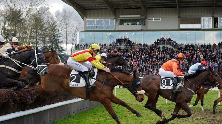 Des jockeys participent à une course d'obstacle à l'hippodrome de Pau dans le Béarn.