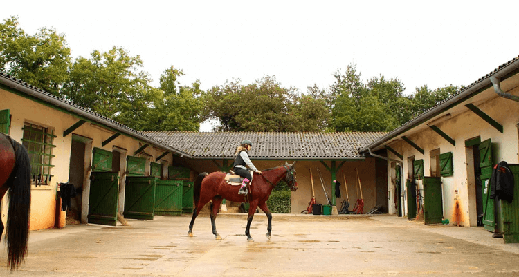 Une élève monte un cheval dans les écuries de l'Afasec de Mont-de-Marsan.