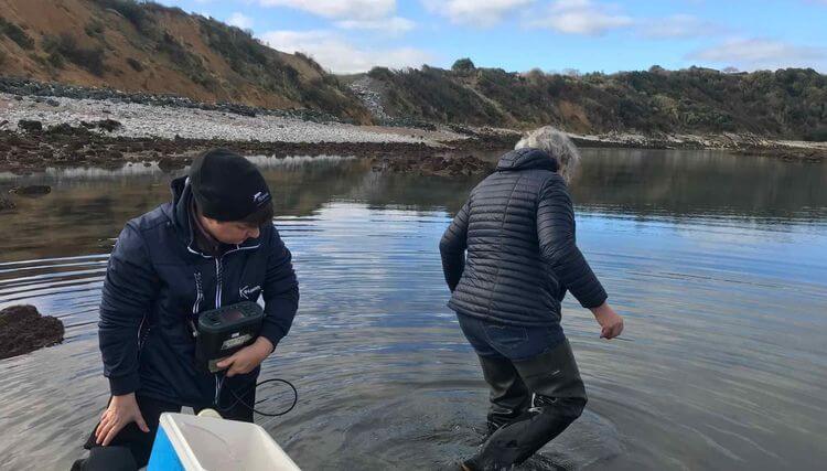 Des rechercheurs du Groupement d’Intérêt Scientifique Littoral Basque effectuant des prélèvement d'eau de baignade et d'algues pour évaluer la toxicité de l'Ostreopsis.