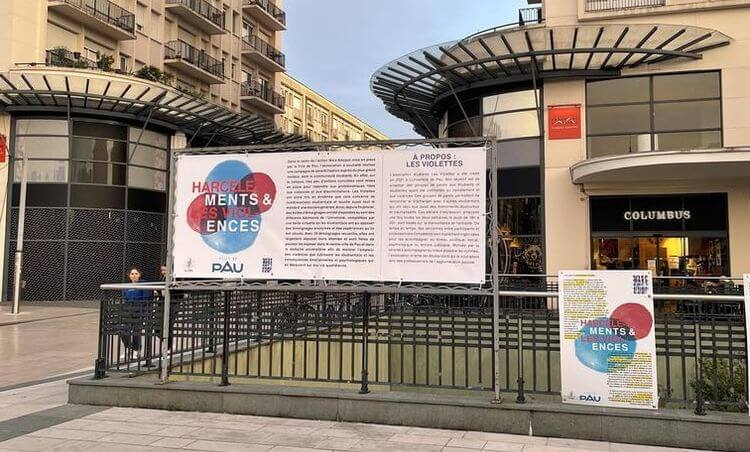 Des affiches installées à Pau par l'association des Violettes de l'UPPA.