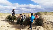 Des enfants de l'Ecole de la Nature portent des sapins pour l'opération Un Sapin pour la Dune à Soustons.