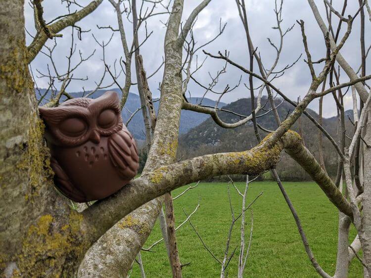 Une chouette en chocolat posée dans un arbre à Arudy dans le Béarn.