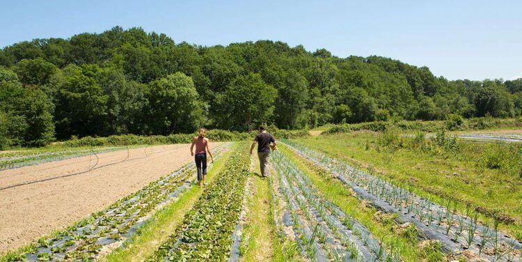 Deux agriculteurs accompagnés dans leur projet par l'association Trebatu. Crédit Photo : Carole Photographe