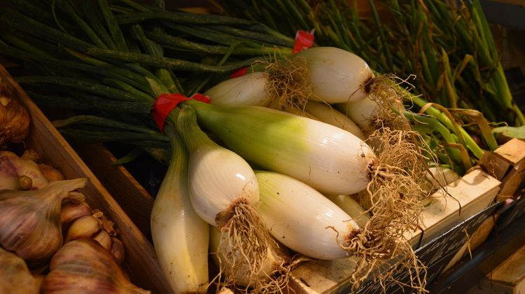 PARFUMÉ - Célébration du très apprécié oignon de Trébons
