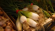 PARFUMÉ - Célébration du très apprécié oignon de Trébons