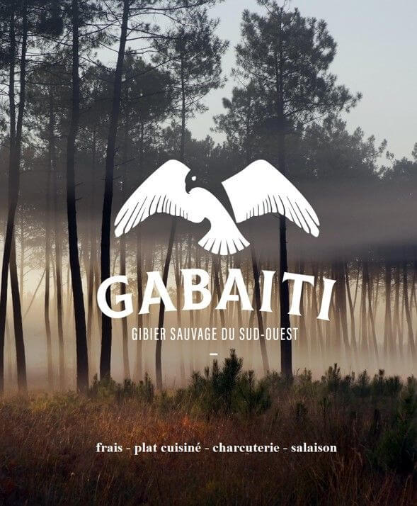 L'affiche de présentation de Gabaiti avec en fond la forêt des Landes.