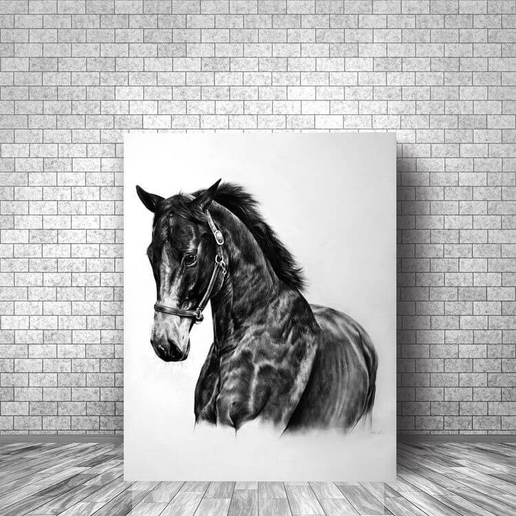 Un portrait de cheval, dessiné par Maléa Landi.