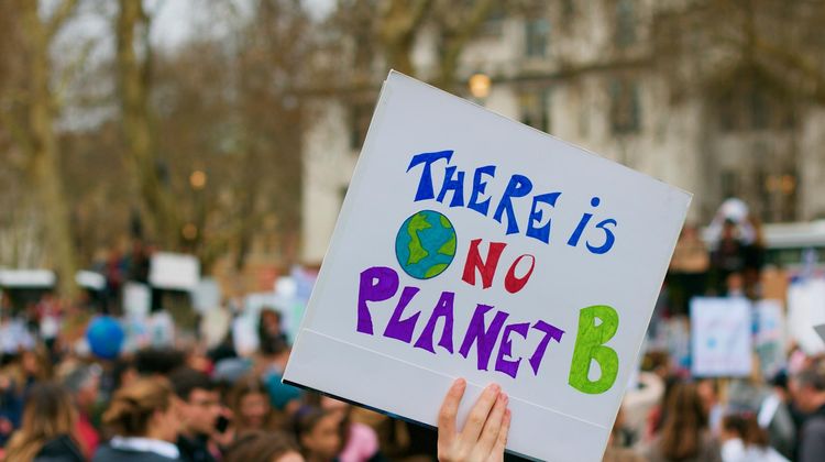 Pancarte d'une manifestation pour le climat. Il est marqué "The Is No Planet B"