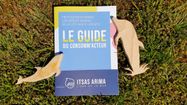 Le guide du consomm'acteur posé sur l'herbe avec 2 dauphins en bois à cotés
