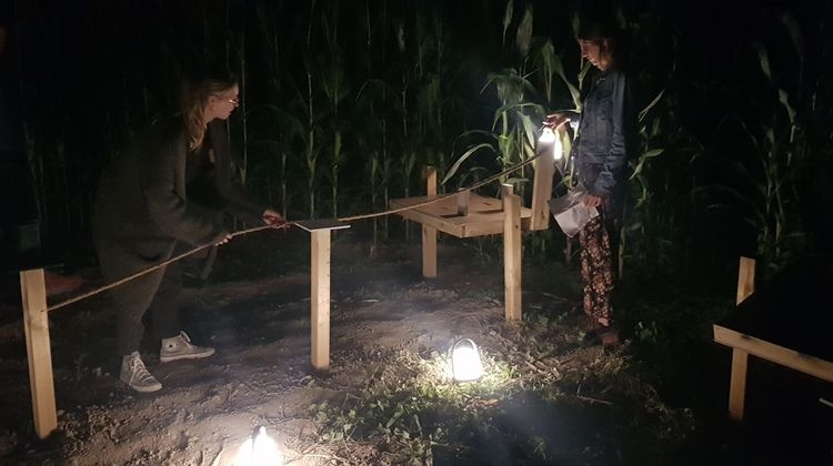 Des personnes participent à une épreuve Corn Lanta dans un champs de maïs de nuit.