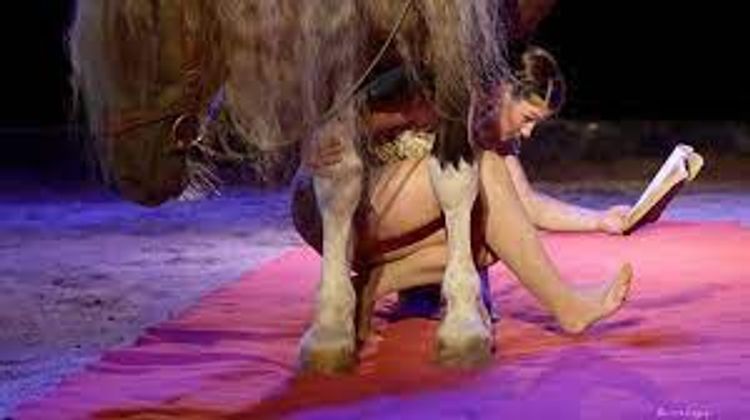Une contorsionniste fait son spectacle avec un cheval.