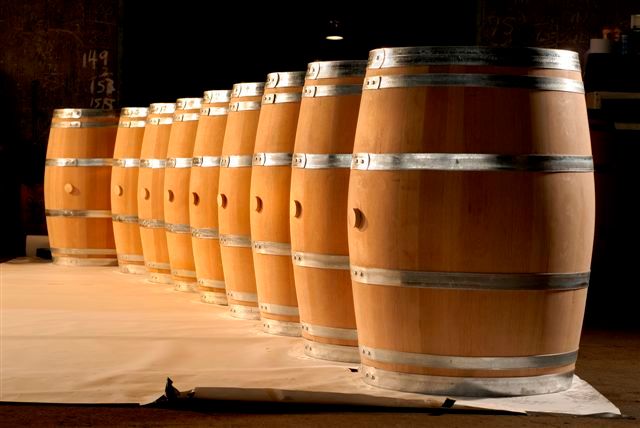 Barriques de vin Canadell exposées.