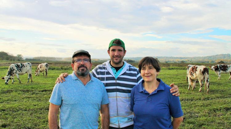 Rémi Labescau et ses parents dans son champs avec ses vaches.