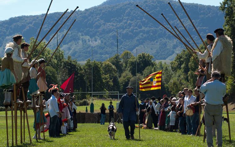 Le concours de chien de bergers de la Fête des Bergers à Aramits.