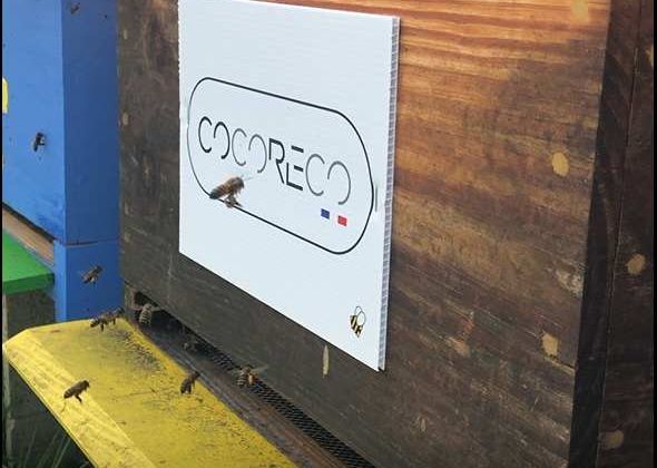 Ruche parrainée par l'entreprise Cocoreco.