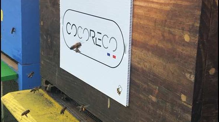 Ruche parrainée par l'entreprise Cocoreco.