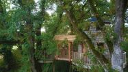 Photo d'une cabane dans les arbres du domaine "Au creux de mon arbre"