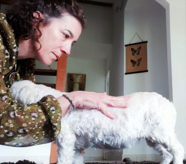 Photo de Alexandra Galin pratiquant un massage sur un chien