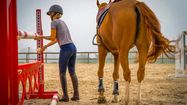 FOCUS – Equit'Adour au cœur du Concours complet 5 étoiles