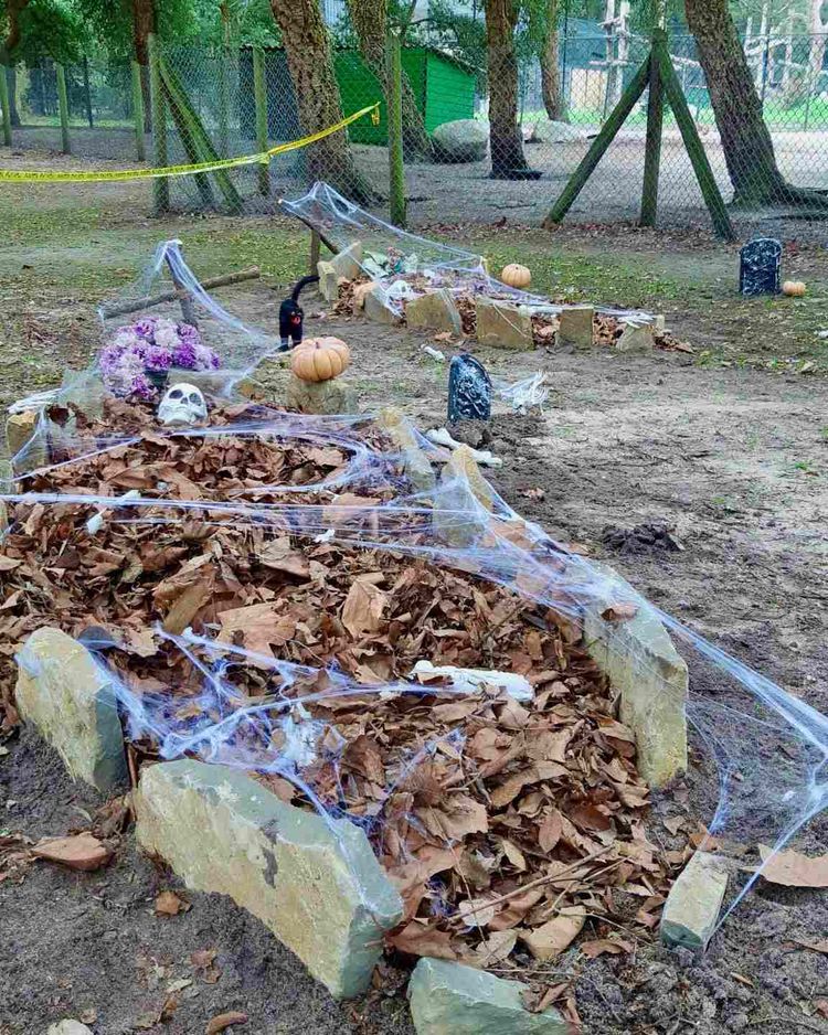 Le zoo de Labenne redécore sa structure pour Halloween.