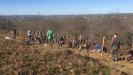 Un chantier de plantation d'arbres organisé chez un agriculteur par l'association Arbre et Agriculture en Aquitaine, implantée dans les Landes et les Pyrénées-Atlantiques.