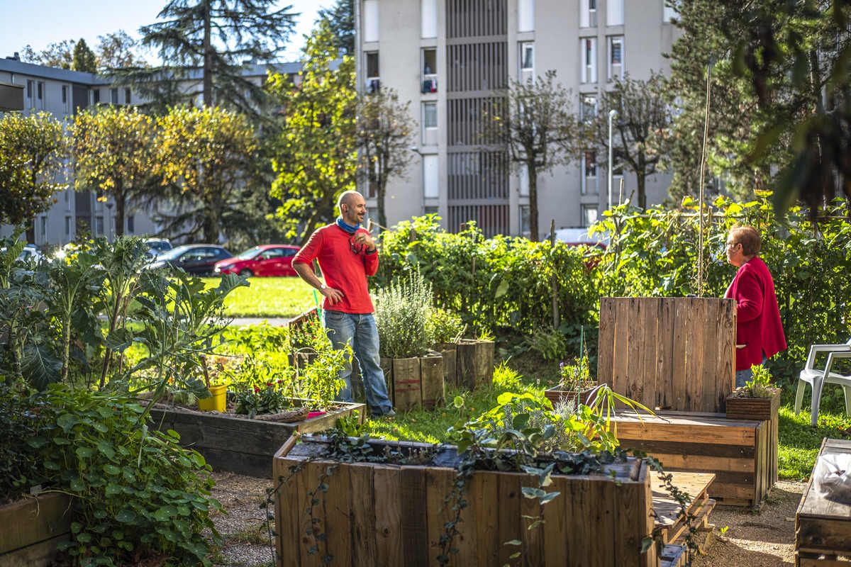 La Maison du jardinier et de la nature en ville lie nature et milieu