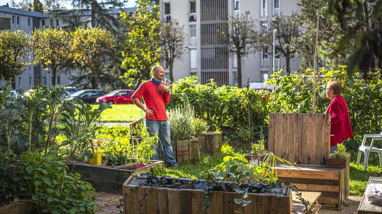 Un membre de l'équipe de la Maison du jardinier et de la nature en ville donner des conseils à une habitante dans un jardin partagé, à Pau.
