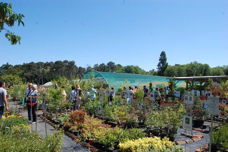 VERTUEUX – Foire aux plantes très solidaire à Mont-de-Marsan