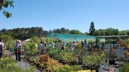 VERTUEUX – Foire aux plantes très solidaire à Mont-de-Marsan