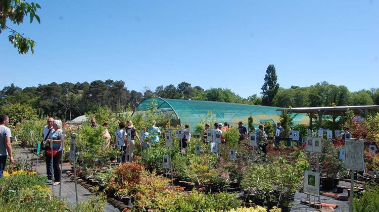 VERTUEUX – Foire aux plantes très solidaire à Mont-de-Marsan