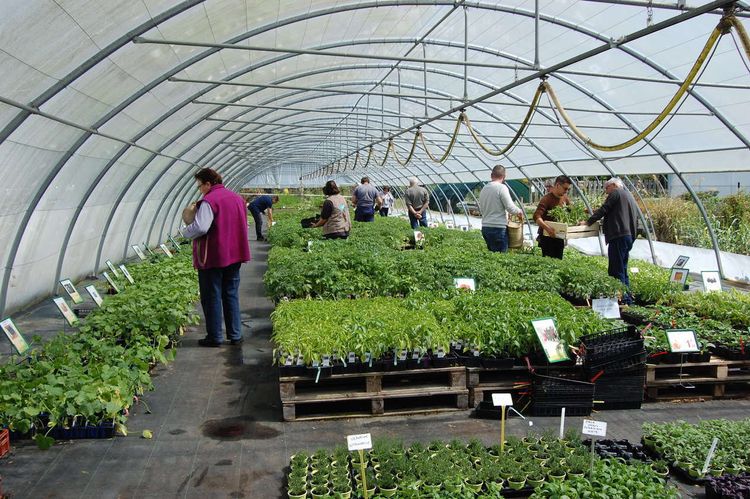 L'une des serres des Jardins de Nonères, où les particuliers peuvent acheter des plants. Photo : Jardins de Nonères.