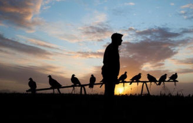 Le 18 octobre était autrefois une grosse période de migration de l’oiseau bleu : « À la Saint-Luc, lou gran truc ; a la san grat, lou gran patac » disaient les anciens.