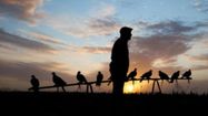 Le 18 octobre était autrefois une grosse période de migration de l’oiseau bleu : « À la Saint-Luc, lou gran truc ; a la san grat, lou gran patac » disaient les anciens.