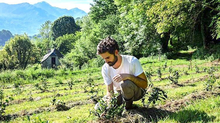 SAVEUR INÉDITE – Découvre le thé des Pyrénées et du Pays Basque