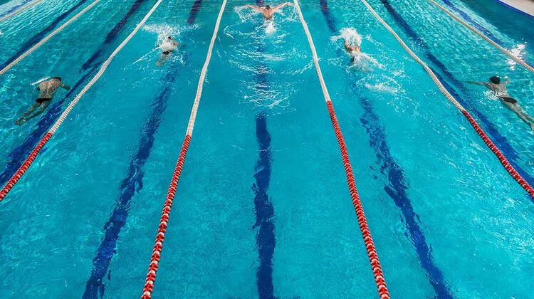 5 Lignes d'eau avec nageurs dans une piscine munucipale