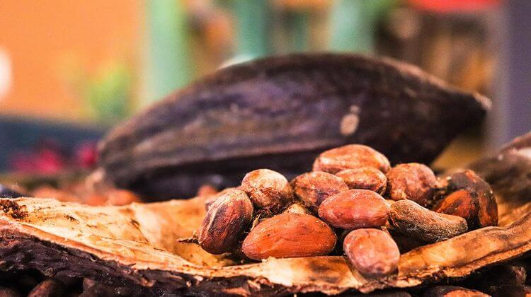 Photo de fèves de cacao
