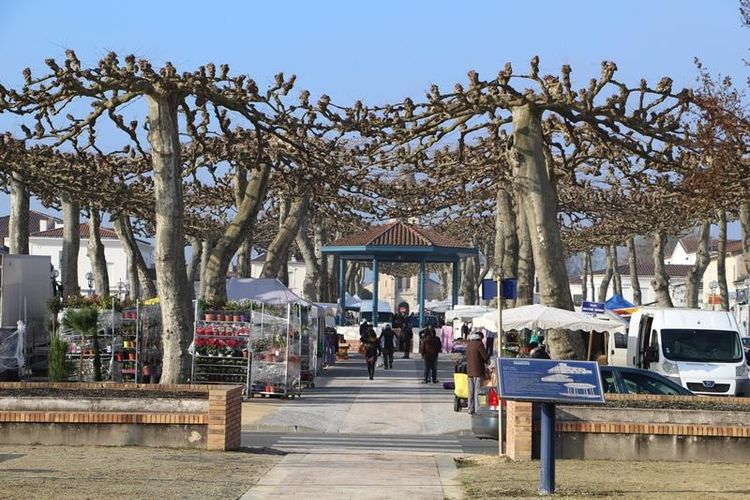 ENSEMBLE – 71 communes landaises vers une même stratégie