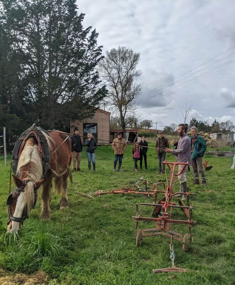 Un paysan fait une démonstration d'attelage avec un cheval devant le public venu à sa ferme