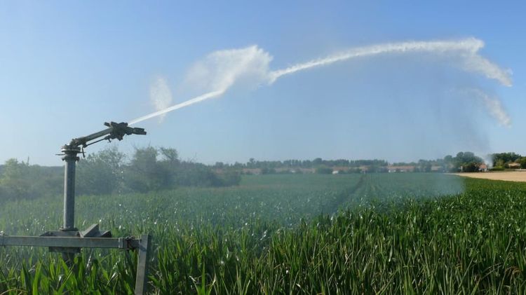 EAU - Prélèvements réduits pour l’agriculture sur l’Adour