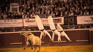 Des sauteurs sautent au-dessus d'une vache lors d'une course landaise.