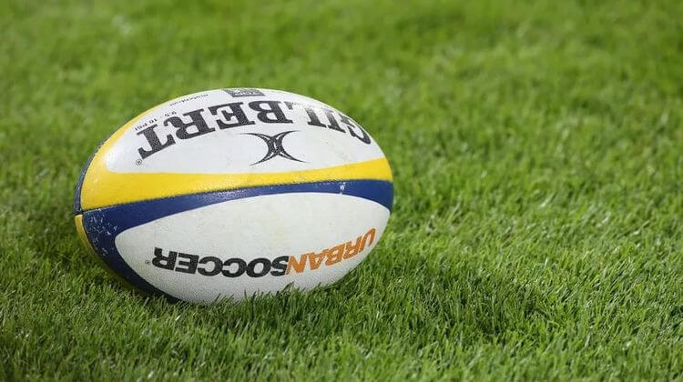 Un ballon de rugby posé dans l'herbe.
