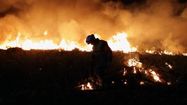 Un pompier au cœur d'un feu de forêt.