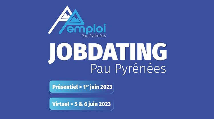 Graphisme de la journée job dating de la cci de Pau en juin 2023