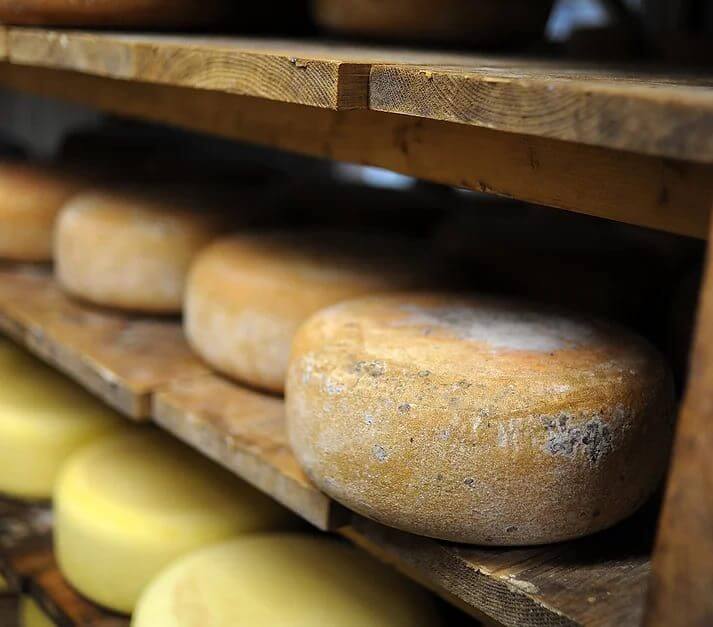 Des tommes de fromage brebis en train d'affiner. Crédit photo Fête Fromage