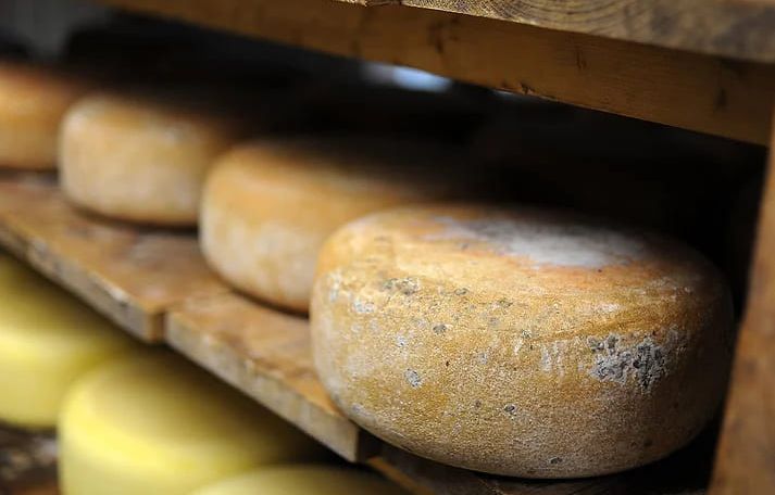 Des tommes de fromage brebis en train d'affiner. Crédit photo Fête Fromage