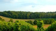 Une vue sur les vignes et une forêt dans le Gers