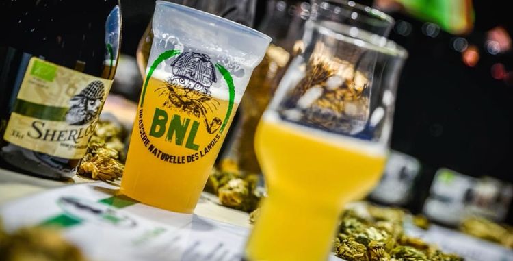 Des verres remplis de bières de la BNL.