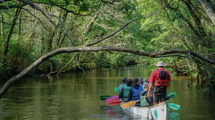 Des personnes en canoë sur la Leyre.